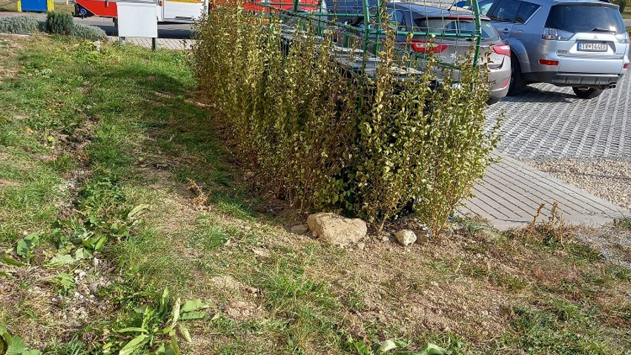 Revitalizácia sadových úprav pri obecných bytovkách 