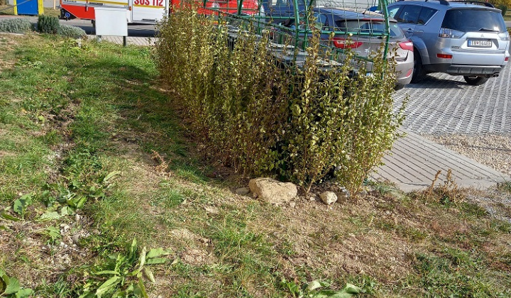 Zobraziť fotografiu