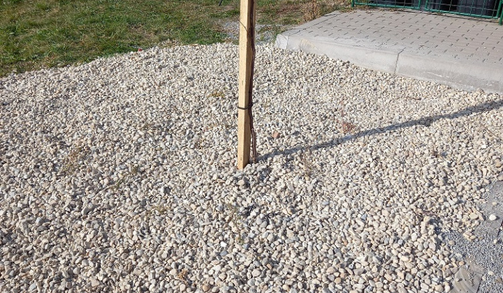 Zobraziť fotografiu