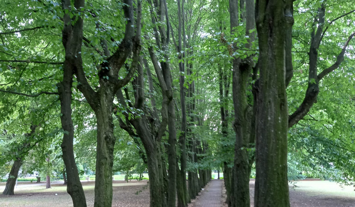 Zobraziť fotografiu