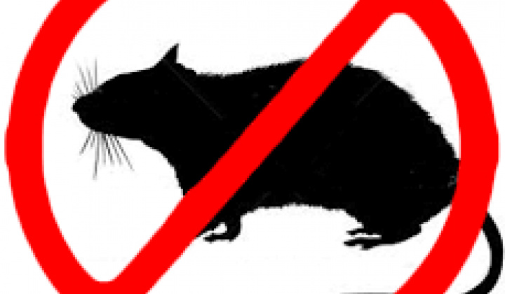 Fotka - Výzva na vykonanie jarnej deratizácie